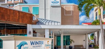 Winter the Dolphins Beach Club Ascend Hotel Collection (Clearwater)