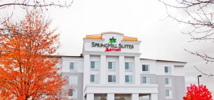 Hotel SpringHill Suites by Marriott Pittsburgh Monroeville