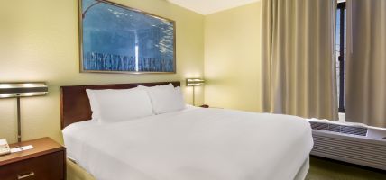 Hotel SpringHill Suites by Marriott Pittsburgh Washington