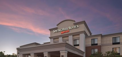 Hotel SpringHill Suites by Marriott Lansing