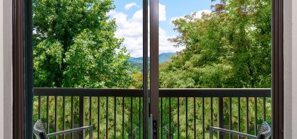 Hotel Courtyard Asheville