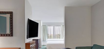 Hotel SpringHill Suites by Marriott Jacksonville
