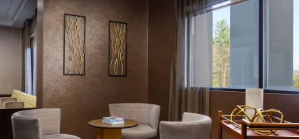 Hotel SpringHill Suites by Marriott Manchester-Boston Regional Airport