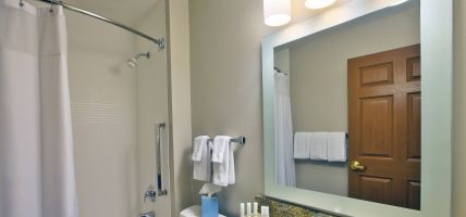 Hotel TownePlace Suites by Marriott Detroit Livonia