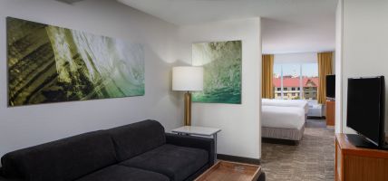 Hotel SpringHill Suites Orlando Convention Center/International Drive Area (Tangelo Park)