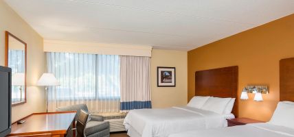 Hotel Four Points by Sheraton Chicago OHare Airport (Schiller Park)