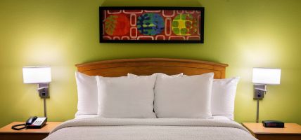 Hotel Sonesta Simply Suites Phoenix Scottsdale