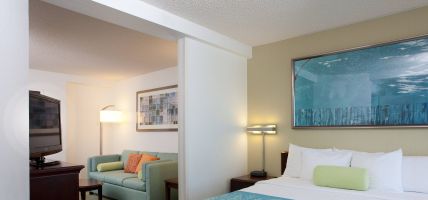 Hotel SpringHill Suites by Marriott Los Angeles LAX Manhattan Beach (Hawthorne)