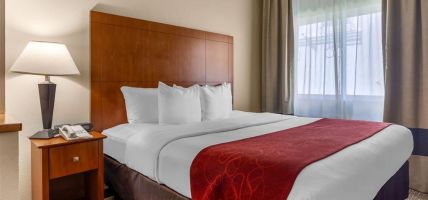 Hotel Comfort Suites North Dallas