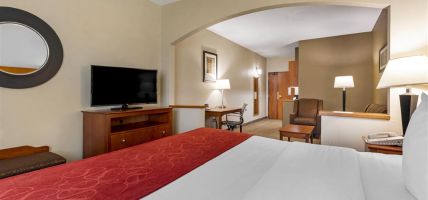 Hotel Comfort Suites North Dallas