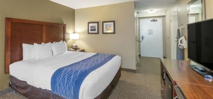 Comfort Inn Elizabeth City near University