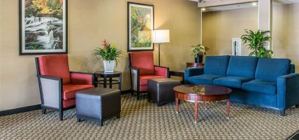 Hotel Comfort Suites (Wixom)