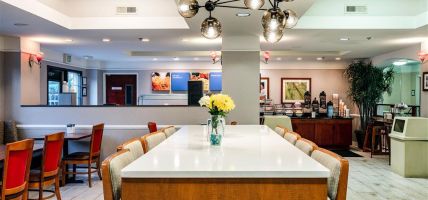 Comfort Inn and Suites Savannah Airport