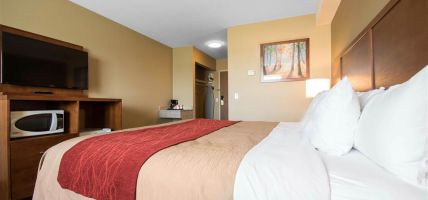 Comfort Inn and Suites (Langley)