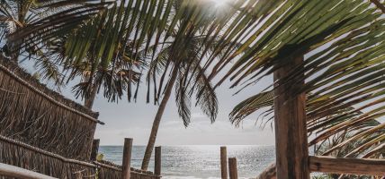 Hotel Papaya Playa Project (Tulúm, Solidaridad)