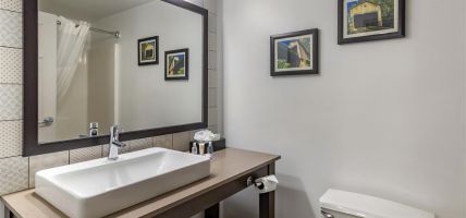 Comfort Inn and Suites Cartersville Emerson Lake Point