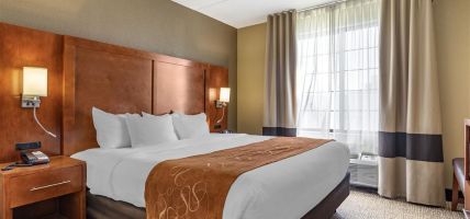 Hotel Comfort Suites South (Grand Rapids)