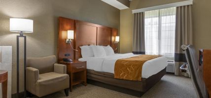 Hotel Comfort Suites Grand Rapids South