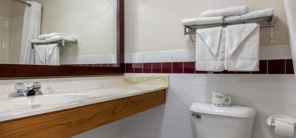 Quality Inn and Suites (New Prague)