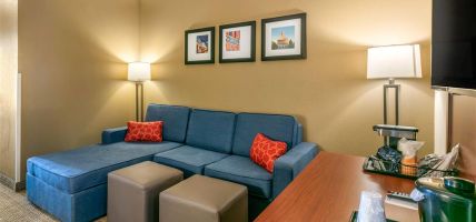 Comfort Inn and Suites Nashville Franklin Cool Springs