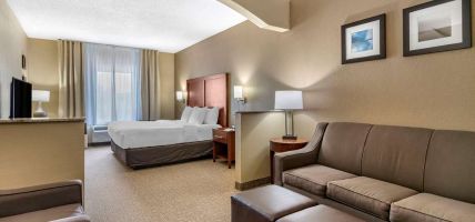 Comfort Inn and Suites St Louis-O Fallon (O'Fallon)