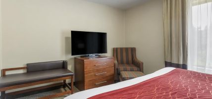 Comfort Inn and Suites (Rapid City)