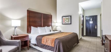 Comfort Inn and Suites Love Field-Dallas