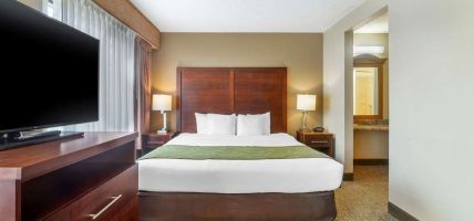 Hotel Comfort Suites Wilmington near Downtown
