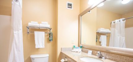 Holiday Inn Express & Suites RICHLAND (Richland)