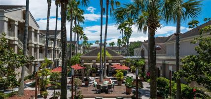 Hotel Sonesta ES Suites Orlando - Lake Buena Vista