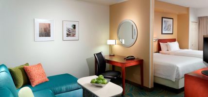 Hotel SpringHill Suites by Marriott Atlanta Buckhead