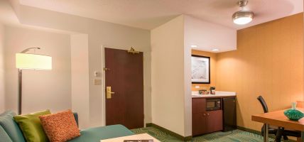 Hotel SpringHill Suites by Marriott Charlotte Airport