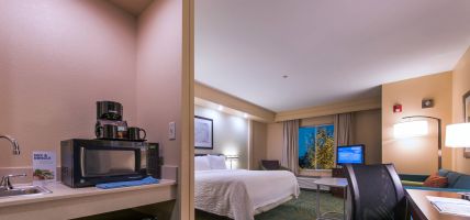 Hotel SpringHill Suites by Marriott Devens Common Center (Fort Devens)