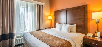 Hotel Comfort Suites Panama City Beach
