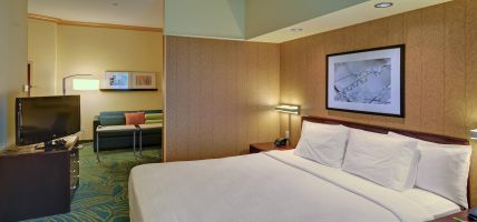 Hotel SpringHill Suites by Marriott Dallas DFW Airport East-Las Colinas Irving