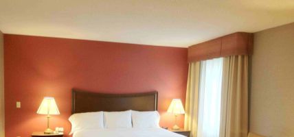 Quality Inn and Suites (Owego)