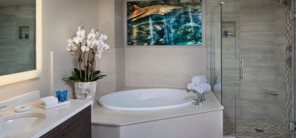 Hotel Opal Sands Resort (Clearwater)