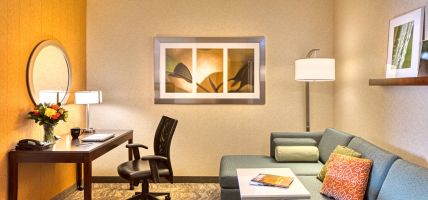 Hotel SpringHill Suites by Marriott Salt Lake City Downtown