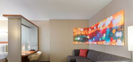 Hotel SpringHill Suites by Marriott Louisville Downtown