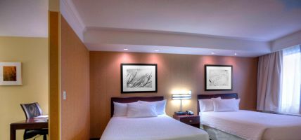 Hotel SpringHill Suites Tampa Brandon