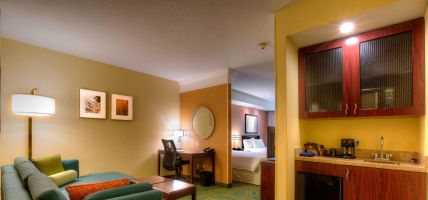 Hotel SpringHill Suites by Marriott Tampa Brandon