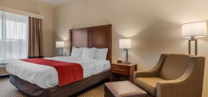 Comfort Inn and Suites Airport (Fort Myers)