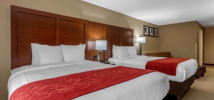 Hotel Comfort Suites Pelham Hoover I-65 (Alabaster)