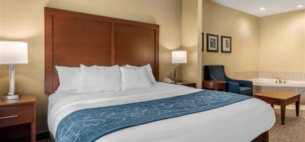 Hotel Comfort Suites Dayton-Wright Patterson