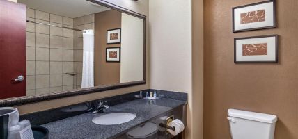 Hotel Comfort Suites (Ennis)