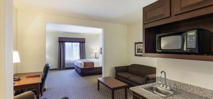 Hotel Comfort Suites San Antonio North - Stone