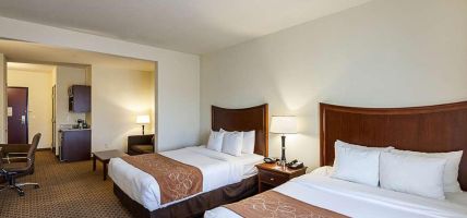 Hotel Comfort Suites San Antonio North - Stone Oak