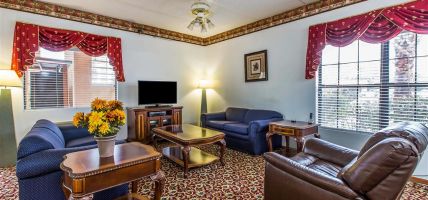 Econo Lodge Inn and Suites (Albany)