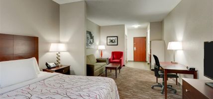 Best Western Plus University Inn & Suites (Wichita Falls)