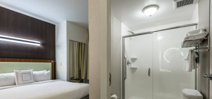Hotel SpringHill Suites by Marriott Statesboro University Area